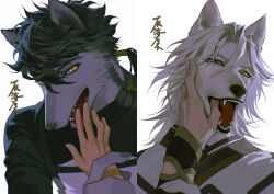 Rule 34 | 2boys, animal ears, bishounen, black hair, blue eyes, body fur, braid, chinese clothes, chinese text, claws, disembodied hand, fangs, finger in another&#039;s mouth, furry, furry male, grey fur, grey hair, hand grab, hand on another&#039;s face, hand up, heterochromia, kinsatsu (grizzled), long hair, long sleeves, looking at viewer, low ponytail, male focus, multiple boys, open mouth, original, portrait, short hair with long locks, simple background, tongue, upper body, white background, wolf boy, wolf ears, yellow eyes