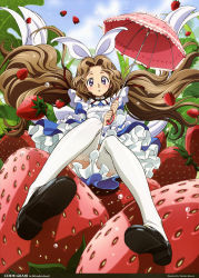 Rule 34 | 10s, 1girl, absurdres, alice in wonderland, code geass, code geass: nunnally in wonderland, dress, food, fruit, hair ribbon, highres, kimura takahiro, long hair, mary janes, nunnally vi britannia, official art, parasol, ribbon, shoe soles, shoes, solo, strawberry, thighhighs, twintails, umbrella, very long hair