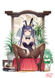 Rule 34 | 1girl, animal ears, bare shoulders, blush, bow, bowtie, breasts, breasts apart, brown pantyhose, cameltoe, cone hair bun, diamond-shaped pupils, diamond (shape), double bun, fake animal ears, flower, full body, genshin impact, hair bun, hair ears, hair ornament, high heels, incense, keqing (genshin impact), leotard, long hair, looking at viewer, medium breasts, paid reward available, pantyhose, plant, playboy bunny, potted plant, purple eyes, purple hair, purple leotard, rabbit ears, siriuflong, sitting, smile, solo, spread legs, spread pussy under clothes, symbol-shaped pupils, thighs, torn clothes, torn pantyhose, twintails, white flower