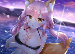 Rule 34 | 1girl, :o, animal ear fluff, animal ears, arm under breasts, backlighting, bare arms, bare shoulders, beach, bikini, bikini top only, black bikini, blurry, blurry background, blush, breast hold, breasts, brown eyes, cleavage, cloud, collarbone, commentary request, dutch angle, fate/grand order, fate (series), fox ears, fox girl, fox tail, hair between eyes, hair tie, halterneck, hand on own chest, hand up, horizon, large breasts, lens flare, long hair, low twintails, naomi (fantasia), navel, ocean, open mouth, outdoors, petals, pink hair, sidelocks, sky, solo, sparkle, sun, sunlight, swimsuit, tail, tamamo (fate), tamamo no mae (fate/extra), tamamo no mae (swimsuit lancer) (fate), twintails, water