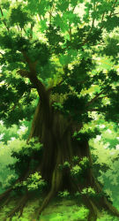 Rule 34 | aoha (twintail), commentary request, day, forest, grass, green theme, highres, nature, no humans, original, outdoors, scenery, tree