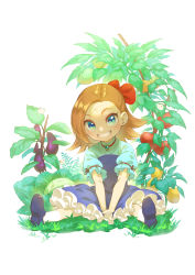 Rule 34 | 1girl, asymmetrical bangs, bell pepper, blue dress, blue eyes, blue socks, bow, brown hair, child, commentary request, dog man cat, dress, eggplant, female focus, frilled dress, frilled sleeves, frills, full body, grass, grin, hair bow, highres, katarina claes, lettuce, looking at viewer, medium hair, otome game no hametsu flag shika nai akuyaku reijou ni tensei shite shimatta, partial commentary, pepper, plant, puffy short sleeves, puffy sleeves, red bow, scar, scar on face, scar on forehead, shoes, short sleeves, simple background, sitting, smile, socks, solo, tomato, v arms, white background
