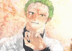 Rule 34 | 1boy, alternate costume, alternate eye color, blush, commentary request, earrings, green eyes, green hair, jewelry, male focus, one piece, open mouth, outdoors, piry, roronoa zoro, short hair, solo, teeth