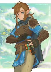 Rule 34 | 1boy, armor, asymmetrical gloves, belt, blue shirt, brown belt, brown gloves, brown hair, brown pants, cloud, copyright name, earrings, fingerless gloves, from side, gloves, green eyes, highres, ivy (sena0119), jewelry, link, looking at viewer, medium hair, mismatched gloves, nintendo, outdoors, pants, pointy ears, ponytail, shirt, shoulder armor, single fingerless glove, single shoulder pad, solo, the legend of zelda, the legend of zelda: breath of the wild