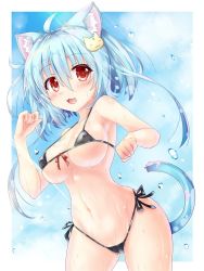 Rule 34 | 1girl, animal ears, armpits, bikini, blue background, blue hair, blush, breasts, cat ears, cat tail, covered erect nipples, fang, highres, kazuneko (wktk1024), large breasts, looking at viewer, micro bikini, open mouth, original, red eyes, skindentation, smile, solo, swimsuit, tail, water drop, wet