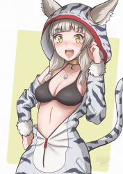 Rule 34 | 1girl, absurdres, alternate costume, animal ears, blunt bangs, blush, breasts, cat ears, chascoby, chest jewel, fang, highres, hood, hoodie, nia (xenoblade), open mouth, silver hair, smile, solo, xenoblade chronicles (series), xenoblade chronicles 2, yellow eyes