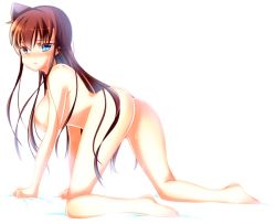 Rule 34 | 1girl, all fours, barefoot, blue eyes, blush, breasts, brown hair, crying, crying with eyes open, floating hair, full body, hair between eyes, large breasts, long hair, looking at viewer, looking back, meitantei conan, mouri ran, nude, pokurouta, simple background, solo, tears, very long hair, white background