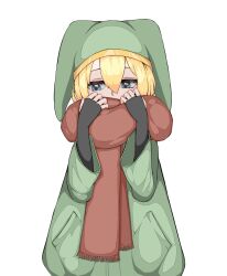 Rule 34 | 1boy, adjusting scarf, androgynous, black gloves, blonde hair, blue eyes, commentary request, eieiwas, elona, fingerless gloves, gloves, green hat, hat, highres, jester cap, kumiromi of harvest, long sleeves, looking to the side, male focus, medium hair, red scarf, scarf, trap