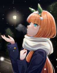Rule 34 | 1girl, absurdres, animal ears, arugou, blue eyes, blue jacket, blunt bangs, blurry, blurry background, breath, ear covers, enpera, hair ornament, hairband, highres, horse ears, horse girl, jacket, lamppost, long hair, long sleeves, looking up, night, orange hair, outdoors, outstretched hand, parted lips, scarf, silence suzuka (umamusume), snowing, solo, tree, umamusume, upper body, white hairband, white scarf
