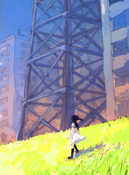 Rule 34 | 1girl, bad id, bad pixiv id, black hair, building, city, cityscape, grass, panorama, scenery, sky, toe, toe (gardengirls), tower, transmission tower