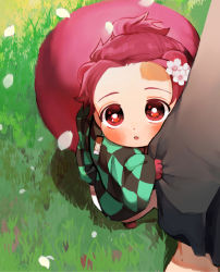 Rule 34 | 1boy, :o, animal ears, animal feet, animal hands, blush, checkered clothes, chibi, clothes grab, earrings, flower, grass, hair flower, hair ornament, haori, japanese clothes, jewelry, kamado tanjirou, kemonomimi mode, kimetsu no yaiba, long sleeves, looking at viewer, looking up, maga (chun), male focus, out of frame, petals, pink hair, ponytail, raccoon boy, raccoon ears, raccoon tail, red eyes, scar, scar on face, scar on forehead, short hair, solo focus, standing, tail, white footwear, wide sleeves