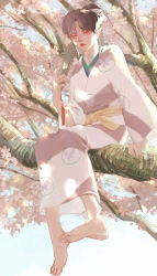 Rule 34 | 1girl, absurdres, barefoot, beads, branch, cherry blossoms, demon, demon girl, earrings, expressionless, feet, female focus, folding fan, foot dangle, full body, hair bun, hand fan, highres, holding, holding fan, in tree, inuyasha, japanese clothes, jewelry, kagura (inuyasha), kimono, lips, lipstick, looking at viewer, makeup, pointy ears, qi hui, red eyes, red lips, sash, short hair, single hair bun, sitting, sitting in tree, soles, solo, spring (season), tassel, toes, tree