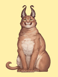 Rule 34 | :3, animal focus, caracal, full body, highres, looking at viewer, nishimawari kouro, no humans, original, simple background, sitting, solo, yellow background