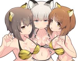 Rule 34 | 3girls, animal ears, animal print, bikini, blue eyes, breasts, brown eyes, brown hair, buchikaki, claw pose, cleavage, closed mouth, commentary, frown, girls und panzer, half-closed eyes, halterneck, itsumi erika, looking at viewer, medium breasts, medium hair, multiple girls, navel, nishizumi maho, nishizumi miho, open mouth, parted lips, print bikini, short hair, siblings, side-by-side, silver hair, simple background, sisters, smile, swimsuit, symbol-only commentary, tiger ears, tiger print, white background, yellow bikini