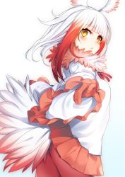Rule 34 | 10s, 1girl, bad id, bad pixiv id, blush, gloves, head wings, highres, japanese crested ibis (kemono friends), kemono friends, long sleeves, looking at viewer, multicolored hair, otokuyou, pantyhose, pleated skirt, red gloves, red hair, red pantyhose, red skirt, short hair, simple background, skirt, solo, two-tone hair, white background, white hair, wings, yellow eyes