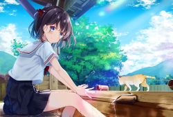 Rule 34 | 1girl, animal, black hair, black skirt, blue eyes, blue sky, blush, bow, cat, closed mouth, cloud, cloudy sky, commentary request, day, fence, fingernails, hair bow, highres, kisaragi yuri, looking at viewer, looking to the side, one side up, original, outdoors, pleated skirt, red bow, sailor collar, school uniform, serafuku, shirt, short sleeves, sitting, skirt, sky, smile, soaking feet, solo, tree, water, wet, white sailor collar, white shirt