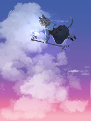 Rule 34 | 1girl, animal ears, black footwear, capelet, closed mouth, cloud, commentary request, crystal, dowsing rod, flying, full body, gradient sky, grey hair, grey skirt, grey vest, highres, holding, jewelry, layered clothes, long sleeves, looking afar, mouse ears, mouse girl, mouse tail, nayozane (worker7), nazrin, one-hour drawing challenge, pendant, purple sky, red eyes, shirt, shoes, short hair, skirt, skirt set, sky, smile, socks, solo, tail, touhou, vest, white shirt, white socks
