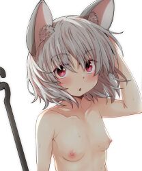 Rule 34 | 1girl, :o, animal ears, arm behind head, arm up, blush, breasts, collarbone, commission, dowsing rod, grey hair, hair between eyes, looking at viewer, mouse ears, naegi (naegidokoro), nazrin, nipples, nude, parted lips, red eyes, simple background, skeb commission, small breasts, solo, touhou, upper body, wet, white background