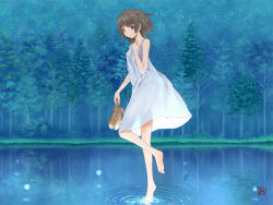 Rule 34 | 1girl, bare shoulders, barefoot, blue eyes, blue theme, brown hair, dress, forest, grass, high heels, holding, holding shoes, lights, nature, okiru, open shoes, original, reflection, ripples, sandals, shoes, short hair, solo, sundress, tree, walking, walking on liquid, water