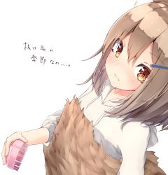 Rule 34 | 1girl, animal ear fluff, blush, breasts, brown hair, brush, closed mouth, commentary request, fox girl, fox tail, from above, hair between eyes, hair ornament, hairclip, highres, holding, holding brush, holding tail, hood, hood down, hooded sweater, looking at viewer, mayogii, medium hair, original, simple background, small breasts, solo, sweater, tail, translated, upper body, white background, white sweater, yellow eyes