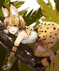Rule 34 | 10s, 1girl, 2017, animal ears, animal print, bare shoulders, blonde hair, blurry, blush, bow, bowtie, breasts, cat ears, cat tail, dated, depth of field, elbow gloves, gloves, in tree, kemono friends, looking at viewer, nabeshima tetsuhiro, one eye closed, open mouth, serval (kemono friends), serval print, serval tail, shirt, short hair, skirt, sleeveless, sleeveless shirt, small breasts, smile, solo, tail, thighhighs, top-down bottom-up, tree, twitter username, white shirt, yellow eyes