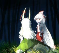 Rule 34 | 2girls, backlighting, bow, closed mouth, collared shirt, dark, dress, ex-keine, facing away, from behind, fujiwara no mokou, full body, grass, green dress, hair bow, half updo, horn ornament, horn ribbon, horns, itomugi-kun, kamishirasawa keine, light, long hair, looking at another, multiple girls, night, outdoors, pants, red eyes, red pants, red ribbon, ribbon, shirt, shirt tucked in, short sleeves, standing, suspenders, torn clothes, torn sleeves, touhou, very long hair, white bow, white hair, white shirt, wrist cuffs