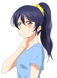 Rule 34 | 1girl, alternate hairstyle, blue hair, blue shirt, blush, commentary request, hair between eyes, highres, long hair, love live!, love live! school idol project, ponytail, scrunchie, shirt, shogo (4274732), simple background, solo, sonoda umi, upper body, white background, yellow eyes