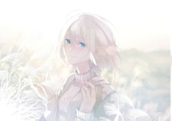 Rule 34 | 1girl, aran sweater, blue eyes, blurry, blurry background, blush, cable knit, commentary request, depth of field, fujiwara mizuki, hair between eyes, hands up, long sleeves, looking at viewer, original, parted lips, short hair, solo, susuki grass, sweater, white hair, white sweater