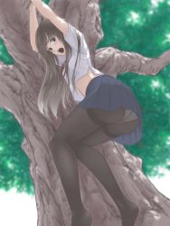 Rule 34 | 1girl, :o, arms up, ass, black pantyhose, blue eyes, blue skirt, blush, branch, brown hair, crotch seam, dangerous, from below, full body, hanging, highres, leaf, long hair, looking down, open mouth, original, panties, panties under pantyhose, pantyhose, peril, plant, pleated skirt, red ribbon, ribbon, shirt, short sleeves, skirt, solo, surprised, thighband pantyhose, tsukiyo umi, underwear, upskirt, white shirt