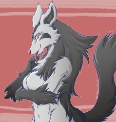 Rule 34 | 1girl, artist request, breasts, creatures (company), furry, furry female, game freak, gen 3 pokemon, mightyena, nintendo, no humans, pokemon, pokemon (creature), red eyes, solo, tongue, tongue out