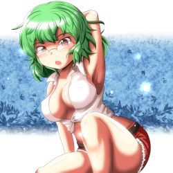 Rule 34 | 1girl, :o, arm behind head, arm up, armpits, bad id, bad pixiv id, belt, bespectacled, blush, breasts, buttons, cleavage, covered erect nipples, crop top, denim, denim shorts, embarrassed, female focus, glasses, glowing, green hair, kazami yuuka, large breasts, leaning, looking at viewer, midriff, no bra, open clothes, open mouth, open shirt, plant, red eyes, shirt, short hair, shorts, sideboob, sitting, skirt, sleeveless, sleeveless shirt, solo, surprised, thighs, torn clothes, touhou, wide hips, yoriyuki chiyo