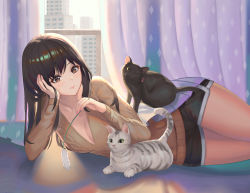 Rule 34 | 1girl, black hair, breasts, brown eyes, cat, cat teaser, city, cleavage, closed mouth, cowboy shot, hand on own cheek, hand on own face, head rest, highres, indoors, long hair, long sleeves, lying, moonandmist, on side, original, short shorts, shorts, small breasts, v-neck
