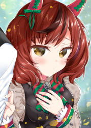 Rule 34 | 1girl, animal ears, black dress, blurry, blurry background, blush, bow, breasts, brown eyes, brown hair, brown shirt, closed mouth, commentary request, depth of field, diagonal stripes, dress, green bow, hand on own chest, horse ears, jacket, juliet sleeves, k hiro, long sleeves, looking at viewer, medium breasts, multicolored hair, nice nature (umamusume), puffy sleeves, shirt, sleeveless, sleeveless dress, solo focus, streaked hair, striped, striped bow, twintails, umamusume, upper body, white jacket