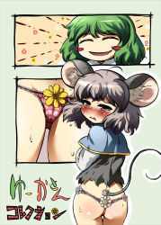 Rule 34 | 2girls, animal ears, ass, blush, blush stickers, crying, closed eyes, female focus, flower, green hair, grey hair, highres, kazami yuuka, mepikari, mouse ears, mouse tail, multiple girls, nazrin, no pants, open mouth, panties, plaid, sunflower, tail, tears, thong, torn clothes, touhou, underwear