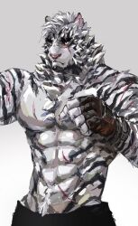 Rule 34 | 1boy, abs, animal ears, arknights, ashu monster, bara, clenched hands, commentary, english commentary, fingerless gloves, furry, furry male, gloves, male focus, mountain (arknights), multiple scars, muscular, muscular male, pectorals, scar, scar across eye, scar on arm, scar on face, signature, tiger boy, tiger ears, tiger stripes, topless male