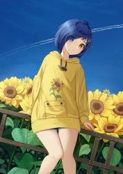 Rule 34 | 1girl, absurdres, ahoge, arm support, blue eyes, blue hair, blue sky, closed mouth, contrail, dutch angle, fence, flippy (cripine111), floral print, flower, hair ornament, hair over one eye, hairclip, head tilt, heterochromia, highres, hood, hoodie, light blush, long sleeves, looking at viewer, ooto ai, short hair, shorts, sitting on fence, sky, solo, sunflower, sunflower print, triangle hair ornament, wonder egg priority, wooden fence, yellow eyes, yellow hoodie