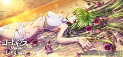 Rule 34 | c.c., code geass, code geass: lost stories, highres, sunset, tagme