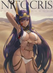 Rule 34 | 1girl, animal ears, arm up, armpits, artist name, bare shoulders, breasts, character name, chowbie, cleavage, copyright name, cowboy shot, dark-skinned female, dark skin, desert, earrings, egyptian clothes, facial mark, fate/grand order, fate (series), hairband, hoop earrings, jackal ears, jewelry, large breasts, long hair, mountainous horizon, navel, nitocris (fate), parted lips, purple eyes, purple hair, revision, sand, smile, solo, standing, straight hair, two-tone hairband, very long hair