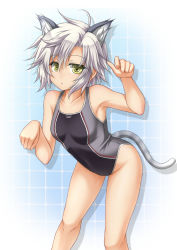Rule 34 | 1girl, animal ears, cat ears, cat girl, chestnut mouth, competition swimsuit, eiyuu densetsu, falcom, female focus, fie claussell, kemonomimi mode, looking at viewer, one-piece swimsuit, paw pose, roura, sen no kiseki, short hair, solo, swimsuit, white hair, yellow eyes