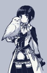 Rule 34 | 1girl, animal, animal on arm, belt, bird, black thighhighs, closed mouth, dress, gloves, hat feather, highres, long sleeves, looking at viewer, monochrome, naname (fossama1), original, owl, short hair, solo, thighhighs