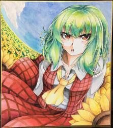 Rule 34 | 1girl, 283win, acrylic paint (medium), ascot, blue sky, breasts, cleavage, cloud, collarbone, collared shirt, commentary request, field, flower, flower field, kazami yuuka, looking at viewer, medium breasts, open mouth, outdoors, painting (medium), photo (medium), plaid, plaid skirt, plaid vest, red eyes, red skirt, red vest, shikishi, shirt, short hair, skirt, sky, solo, sunflower, teeth, touhou, traditional media, upper teeth only, vest, white shirt, yellow ascot