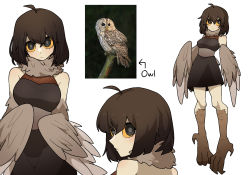 Rule 34 | 1girl, ahoge, bad id, bad pixiv id, bare shoulders, bird legs, black dress, black eyes, blush, brown feathers, brown hair, brown wings, colored sclera, commentary, dress, feathered wings, feathers, gomulgong, hair between eyes, harpy, highres, looking at viewer, looking back, monster girl, multiple views, neck ruff, original, personification, reference inset, simple background, solo, talons, white background, winged arms, wings, yellow sclera