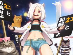 Rule 34 | 1girl, :d, animal, animal ears, cat, cat ears, character request, christ signboard, commentary request, eyes visible through hair, flat chest, jacket, kaii to otome to kamigakushi, letterman jacket, longcat (meme), meme, midriff, navel, open mouth, red eyes, sharp teeth, shirosato, short hair, short shorts, shorts, sign, smile, space cat (meme), teeth, translation request, white hair