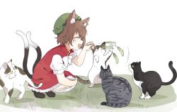Rule 34 | 1girl, afterimage, animal, animal ears, black cat, cat, cat ears, cat tail, chen, earrings, from side, happy, highres, jewelry, multiple tails, nekomata, playing, profile, sasaki sakiko, tail, touhou, two tails