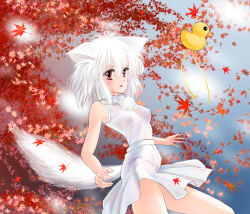 Rule 34 | 1girl, animal ears, autumn, breasts, female focus, inubashiri momiji, leaf, outdoors, plant, red eyes, sky, solo, suika m, tail, touhou, white hair, wolf ears, wolf tail