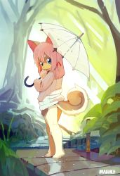 Rule 34 | 1girl, absurdres, animal ear fluff, animal ears, barefoot, blue eyes, dog ears, dog tail, forest, from behind, full body, furry, furry female, hand to own mouth, highres, kneepits, legs, looking back, magiace, nature, no pants, original, outdoors, pink hair, short hair, smile, solo, sweater, tail, tree, umbrella, white sweater
