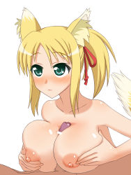 Rule 34 | 10s, animal ears, artist request, blonde hair, blush, breasts, censored, dog days, green eyes, large breasts, nipples, paizuri, penis, pointless censoring, smile, tail, yukikaze panettone