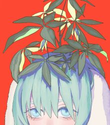 Rule 34 | 1other, animal ears, anry (rmrnmrm), blue eyes, blue hair, floppy ears, mouth out of frame, original, plant, plant on head, rabbit ears, red background, simple background, solo