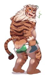 Rule 34 | 1boy, absurdres, ahoge, animal ears, ass, bara, beard, belly, blue eyes, facial hair, fangs, fat, fat man, full body, furry, furry male, highres, hombre tigre (housamo), looking at viewer, male focus, motion lines, muscular, muscular male, orangetaming, solo, standing, surprised, tail, tail ornament, tail ring, thick eyebrows, thick thighs, thighs, tiger boy, tiger ears, tokyo houkago summoners, topless male, undressing, white hair, wrestling outfit