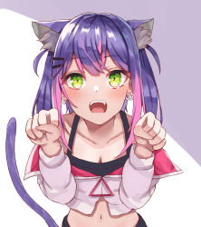 Rule 34 | 1girl, animal ear fluff, animal ears, breasts, cat ears, cat tail, cleavage, collarbone, earrings, fangs, green eyes, hair ornament, hairclip, hands up, highres, hololive, jacket, jewelry, long hair, multicolored hair, multiple earrings, navel, no headwear, no headwear, off-shoulder jacket, off shoulder, open mouth, paw pose, pink hair, purple eyes, sidelocks, simple background, small breasts, solo, tail, tenpura noraneko, tokoyami towa, twintails, two-tone hair, virtual youtuber, white jacket